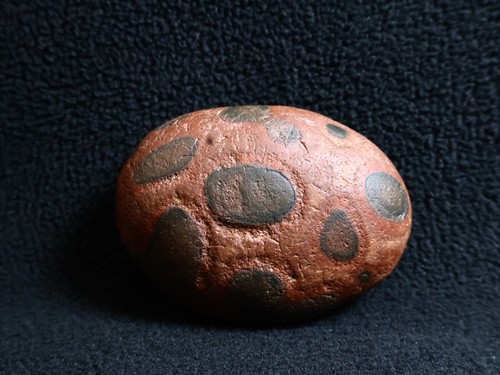 Leopard skin rain - skin,